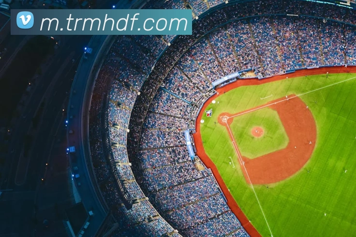 App Interface Preview